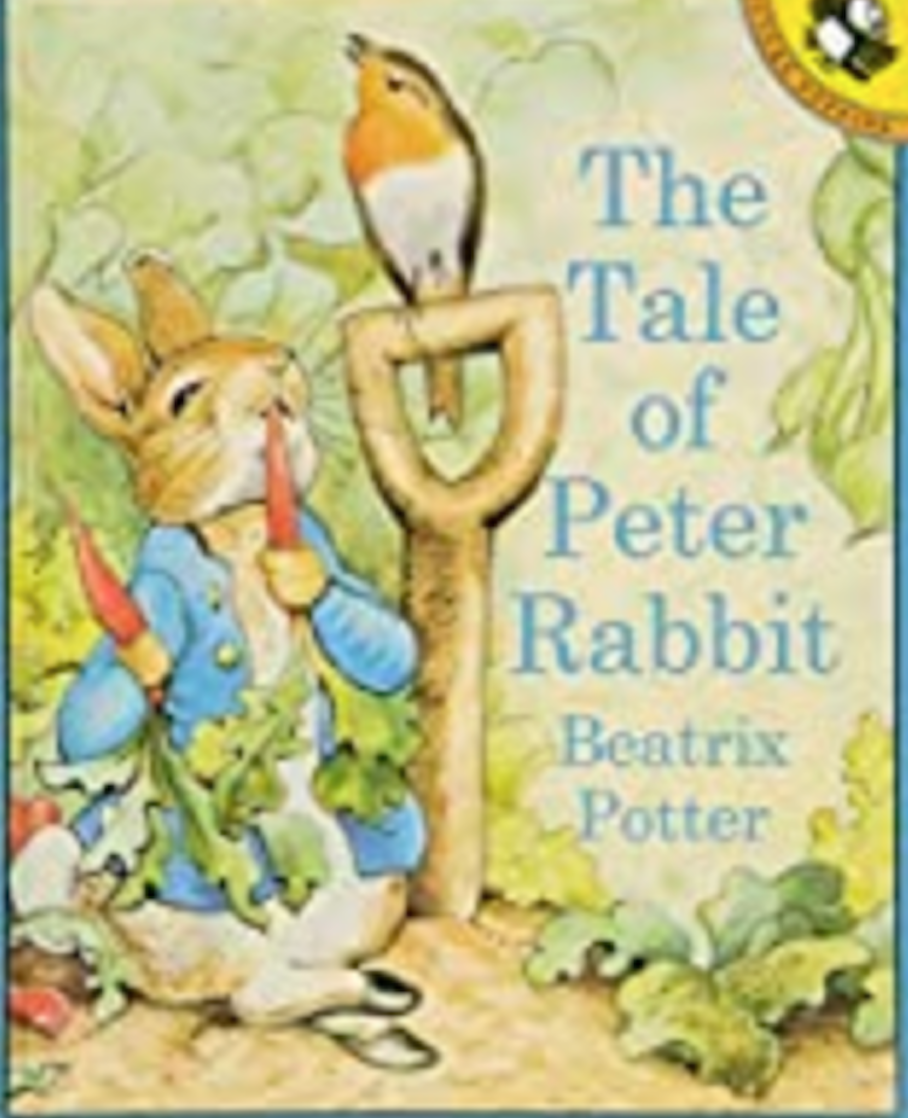 literature review rabbit